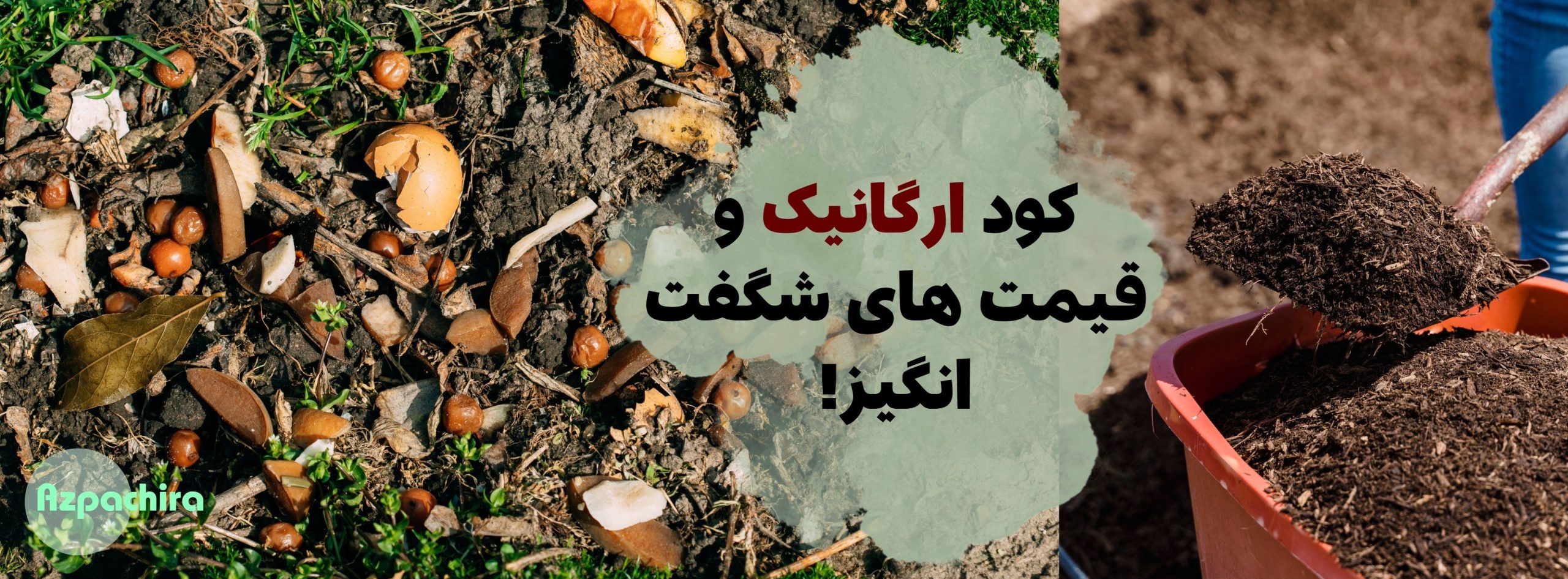 کود ارگانیک